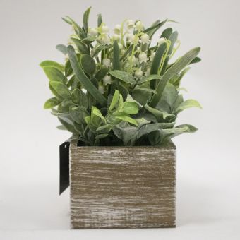 Herbs In Wooden Box