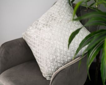 Opulent Silver Filled Cushion