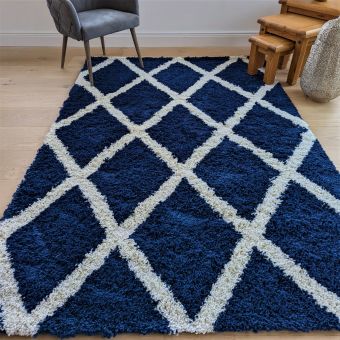 Olso Trellis Navy Rug