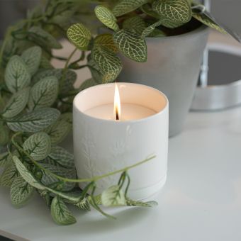 Amber and Lily Scented Candle