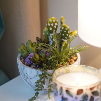 Cactus In Marble Pot