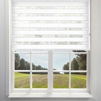 Day and Night White Roller Blind