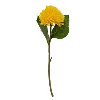 Chrysanthemum Yellow Flower
