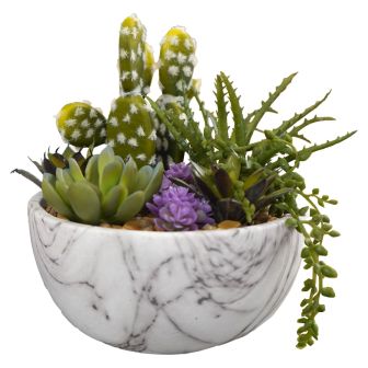 Cactus In Marble Pot 