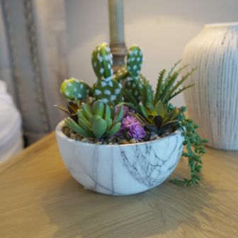 Cactus In Marble Pot 