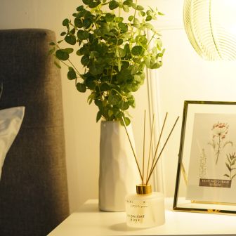 Eucalyptus In Vase