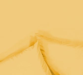 Percale Mustard Sheet Range