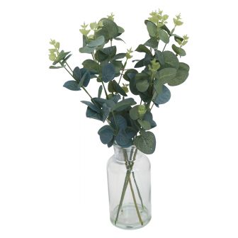 Eucalyptus in Glass Vase