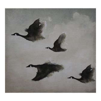 Flying Canada Geese Canvas