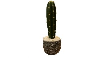 Cactus Green Giftware
