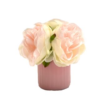 Peonies in Vase
