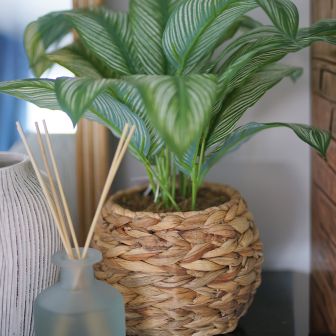 Plant In Rattan Style Pot 