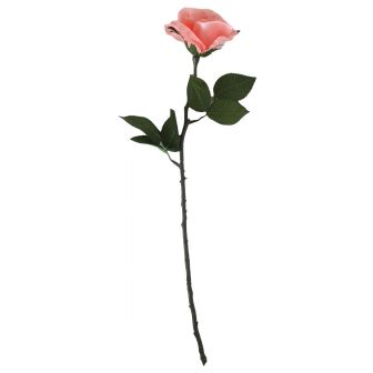 Light Pink Open Rose 