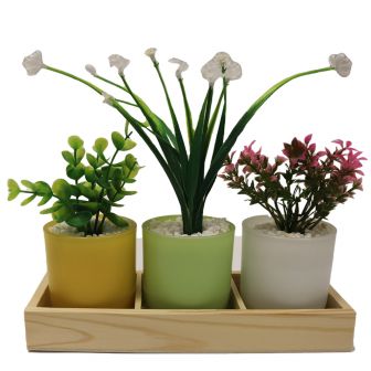 Set of 3 Artificial Plants in Glass Pots