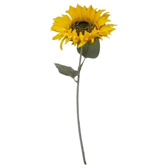 Single Stem Sunflower 