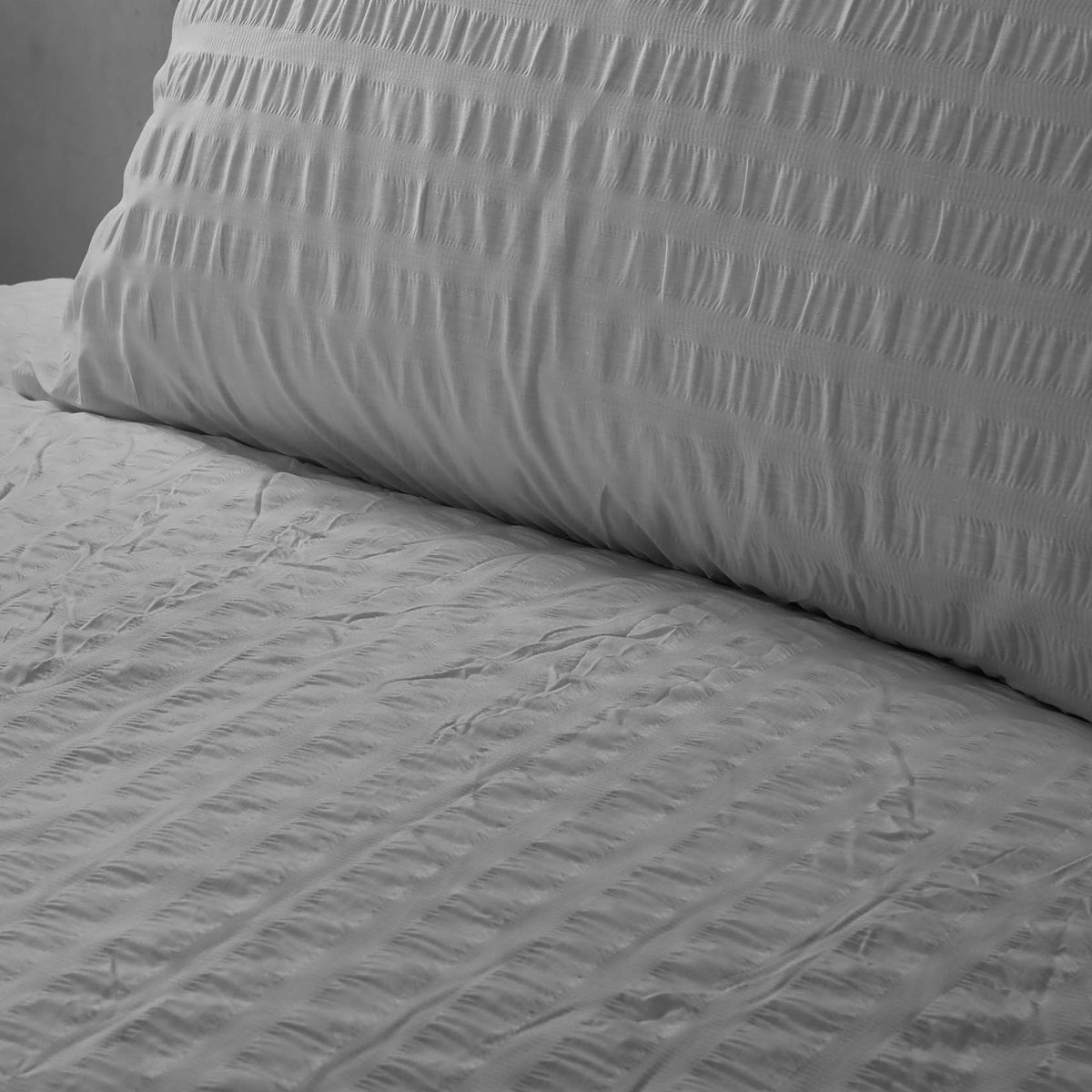 Seersucker Hc SilverCBDS