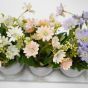 3 Potted Plants On Wooden Plank