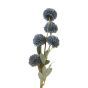 Kiku Blue Flower