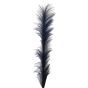 Pampas Grass Blue