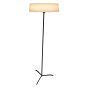 Bradley Black Floor Lamp