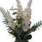 Cream Delphiniums in Grey Round Pot