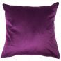 Feathers Aubergine Filled Cushion