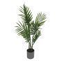 Fern in Grey Pot
