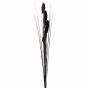 Foxtail Black Stem