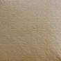 Geri Beige Filled Cushion 55x55cm