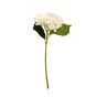 White Hydrangea Single Stem