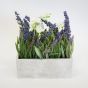 Lavender In Grey Pot