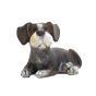 Puppy Listening