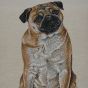 Pug Natural Cushion Cover