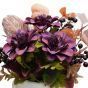 Purple Florals in White Pot