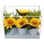 Sunflowers in White Metal Frame with Planters