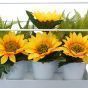 Sunflowers in White Metal Frame with Planters