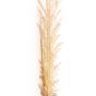 Cream Wild Grass Stem