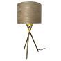 Windsor Natural and Gold Table Lamp