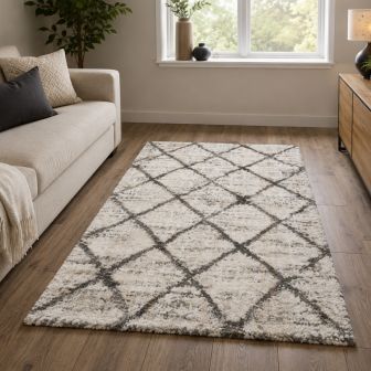 Alaska Trellis White & Grey Rug