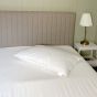 Duck Feather 100% Cotton Pillow
