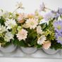 3 Potted Plants On Wooden Plank