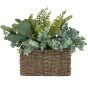 Green Fern in Seagrass Basket