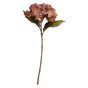 Hydrangea Red Flower