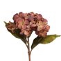 Hydrangea Red Flower