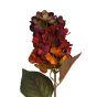Hydrangea Burnt Orange Flower