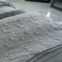 Butterfly Silver Bedspread