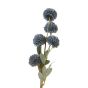 Kiku Blue Flower