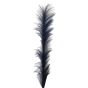 Pampas Grass Blue 