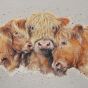 Washable Cuddly Coo Doormat 40x60cm