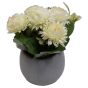 Cream Flowers in Grey Pot